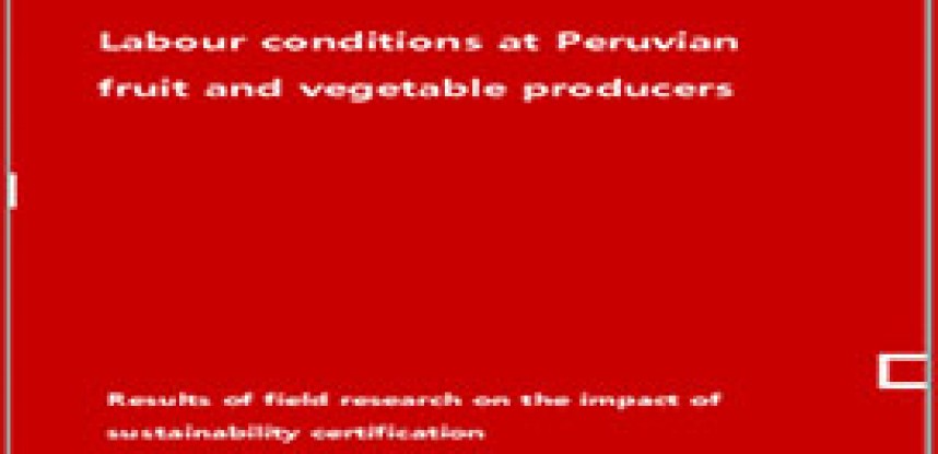 Condiciones laborales de los  productores peruanos de frutas y verduras